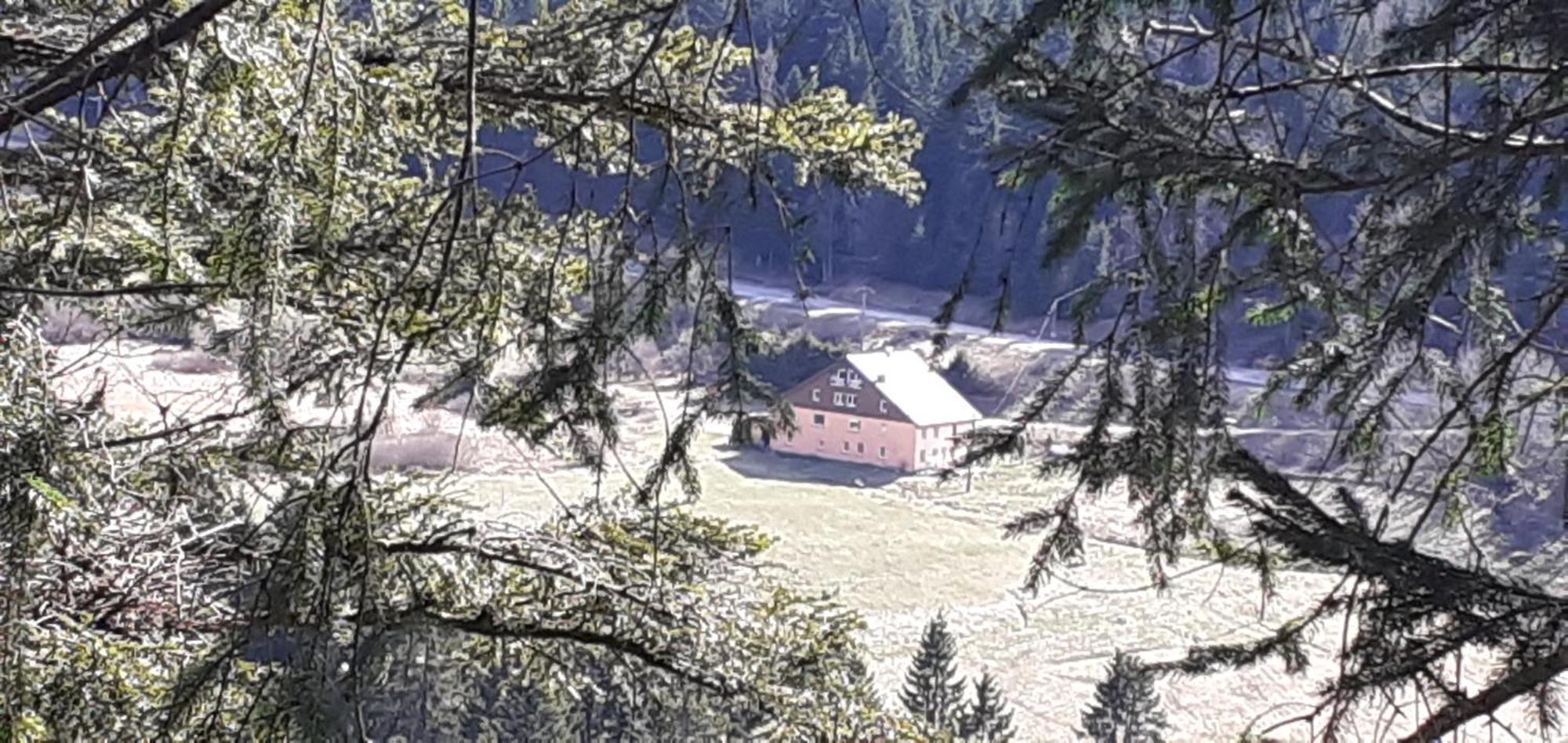 Domaine Des Hauts Viaux La Bresse Zewnętrze zdjęcie