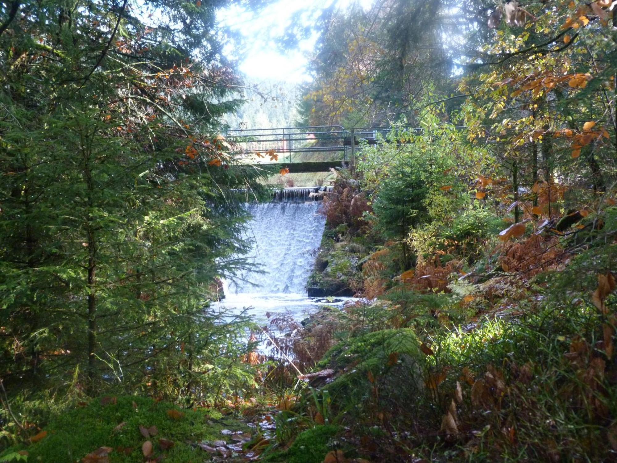 Domaine Des Hauts Viaux La Bresse Zewnętrze zdjęcie