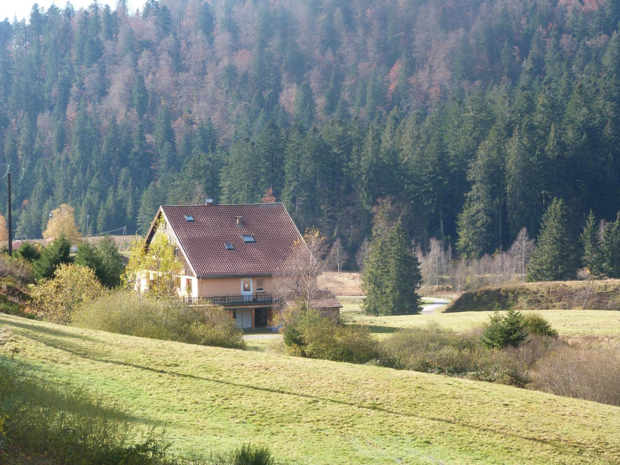 Domaine Des Hauts Viaux La Bresse Zewnętrze zdjęcie