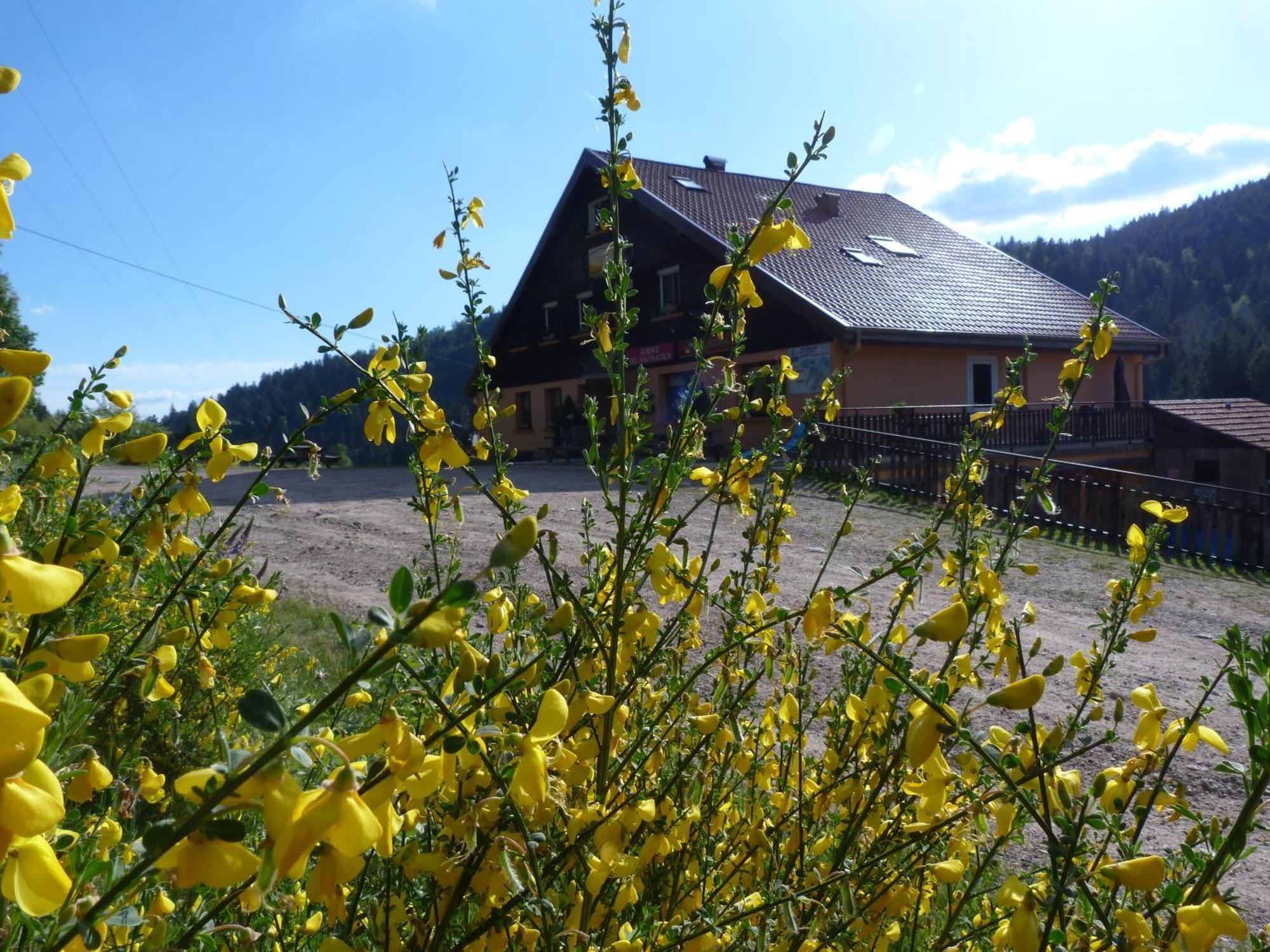 Domaine Des Hauts Viaux La Bresse Zewnętrze zdjęcie