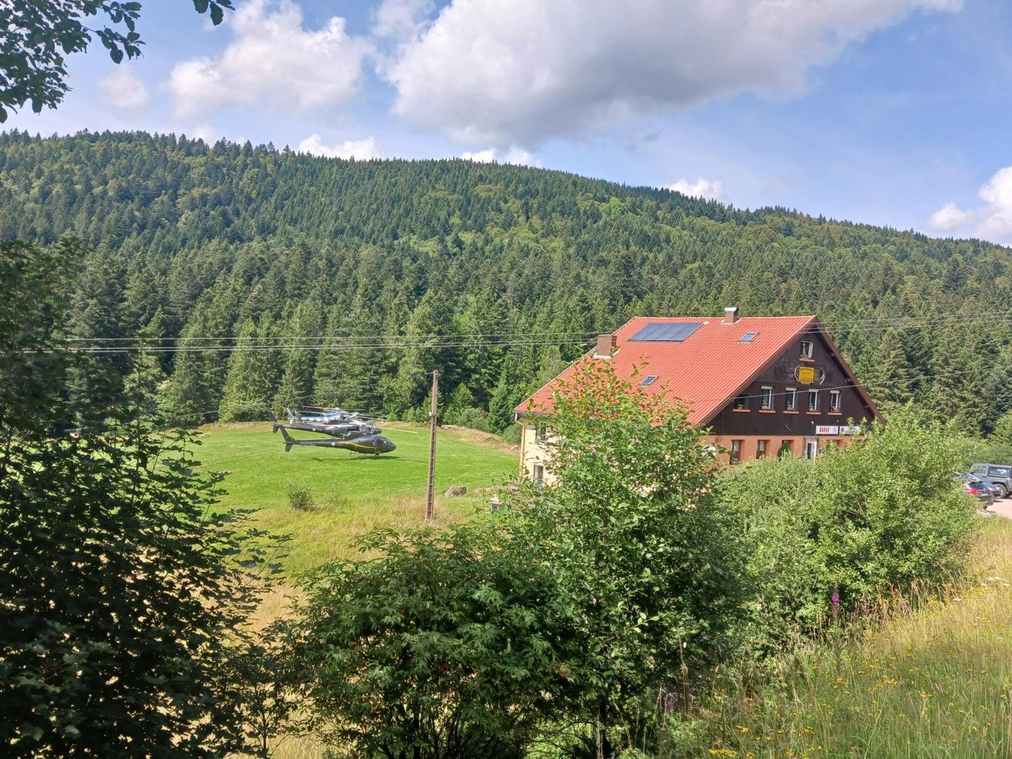 Domaine Des Hauts Viaux La Bresse Zewnętrze zdjęcie