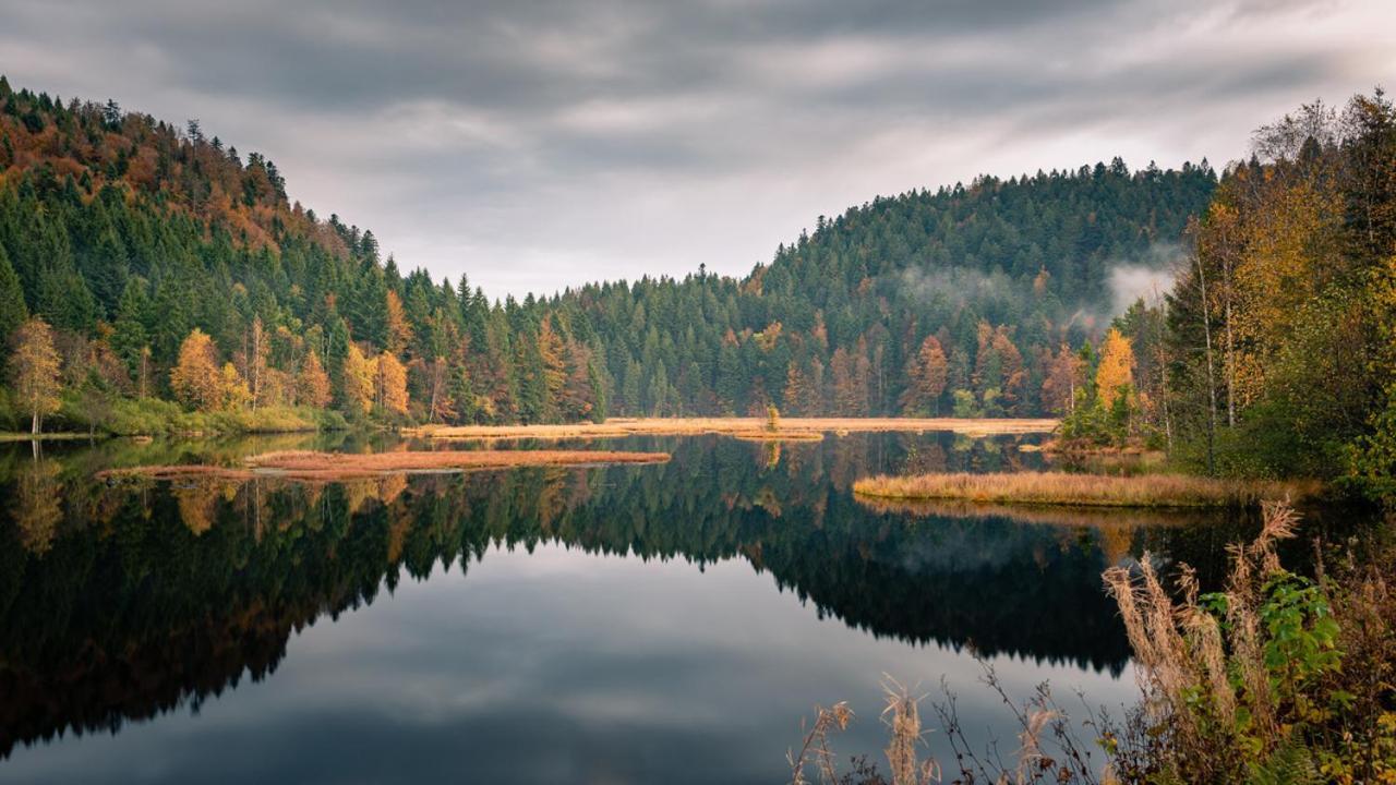 Domaine Des Hauts Viaux La Bresse Zewnętrze zdjęcie