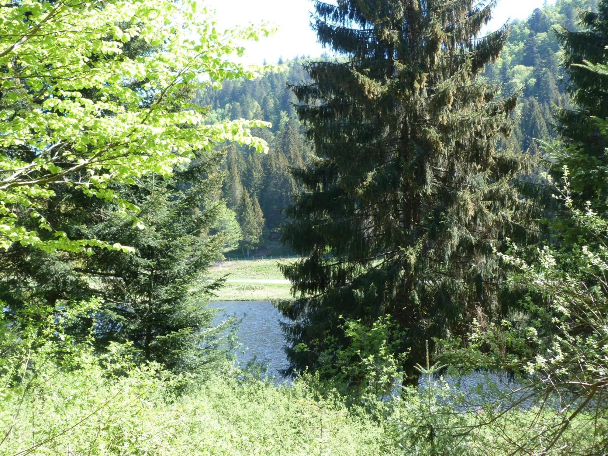 Domaine Des Hauts Viaux La Bresse Zewnętrze zdjęcie