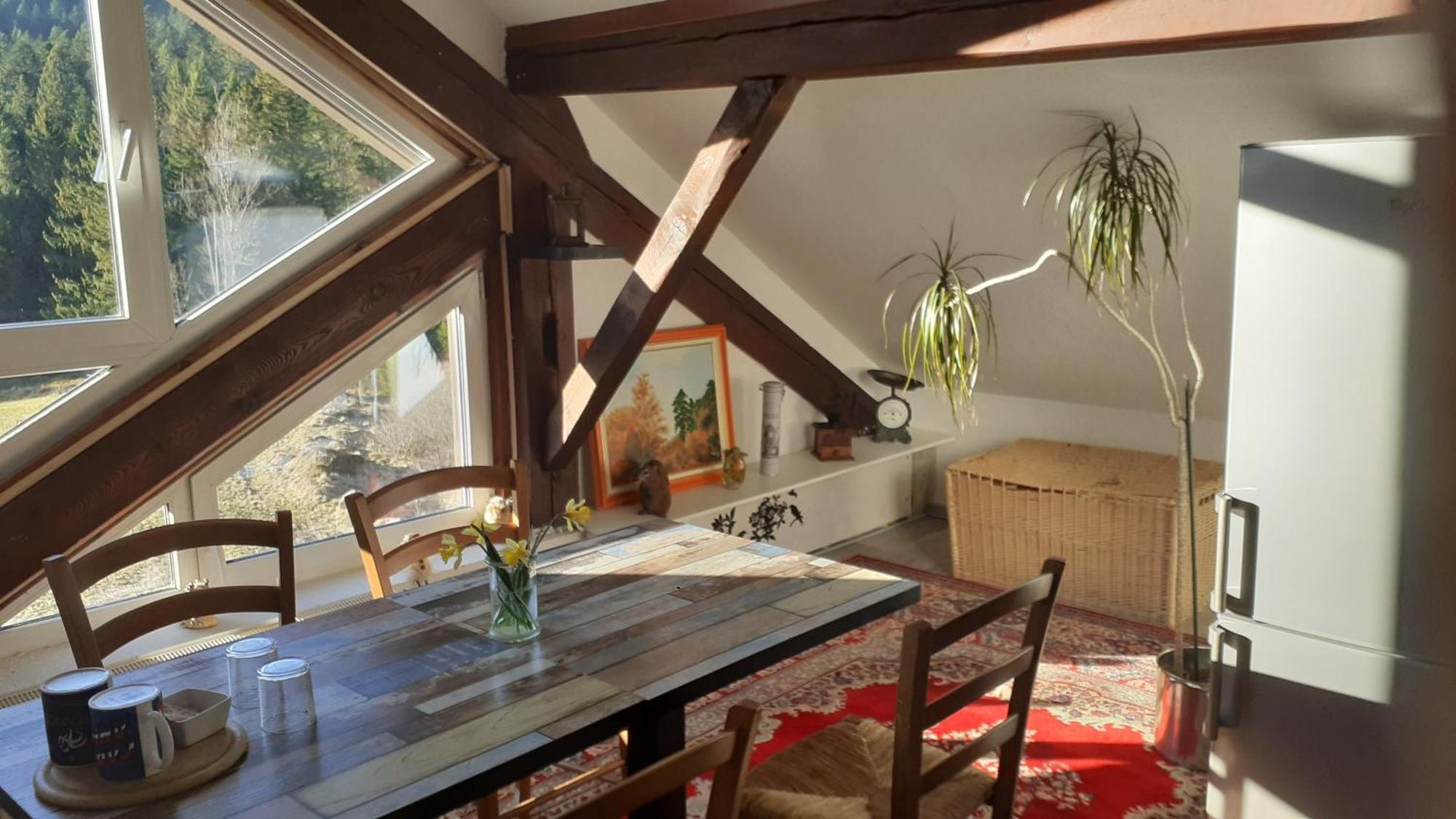 Domaine Des Hauts Viaux La Bresse Zewnętrze zdjęcie