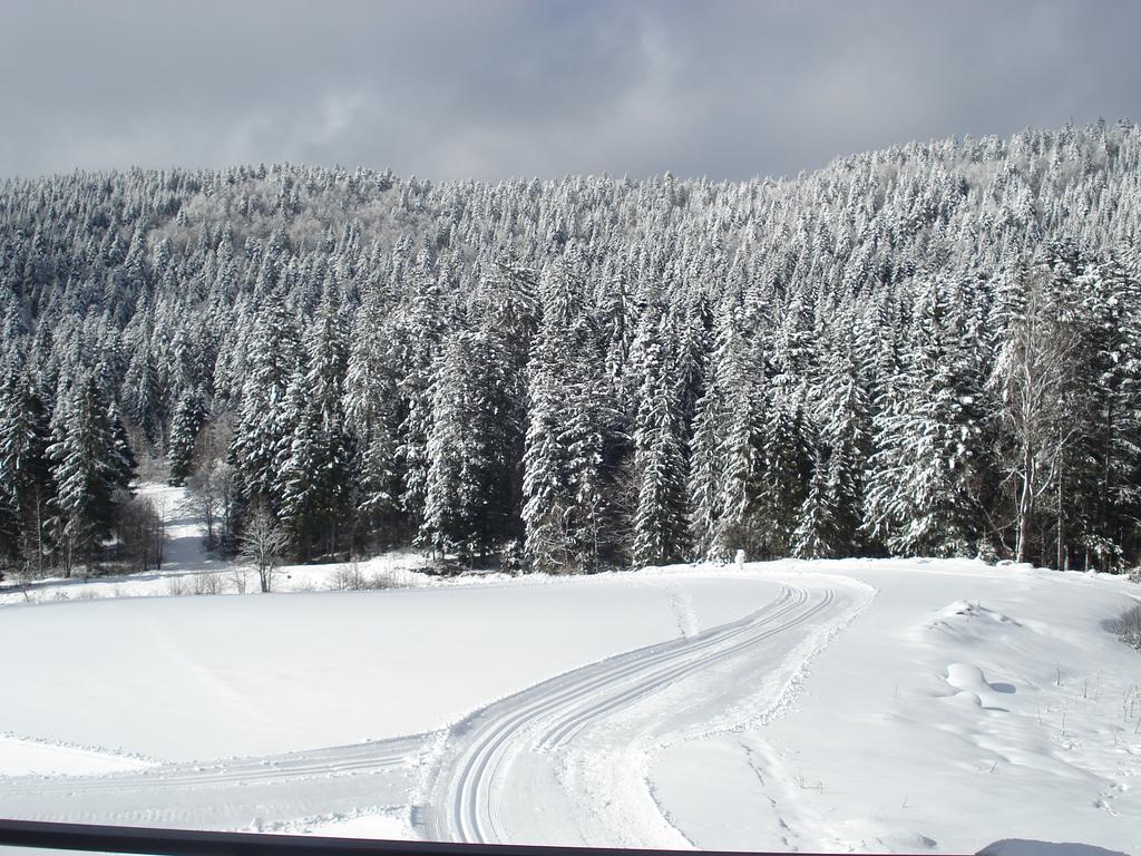 Domaine Des Hauts Viaux La Bresse Zewnętrze zdjęcie