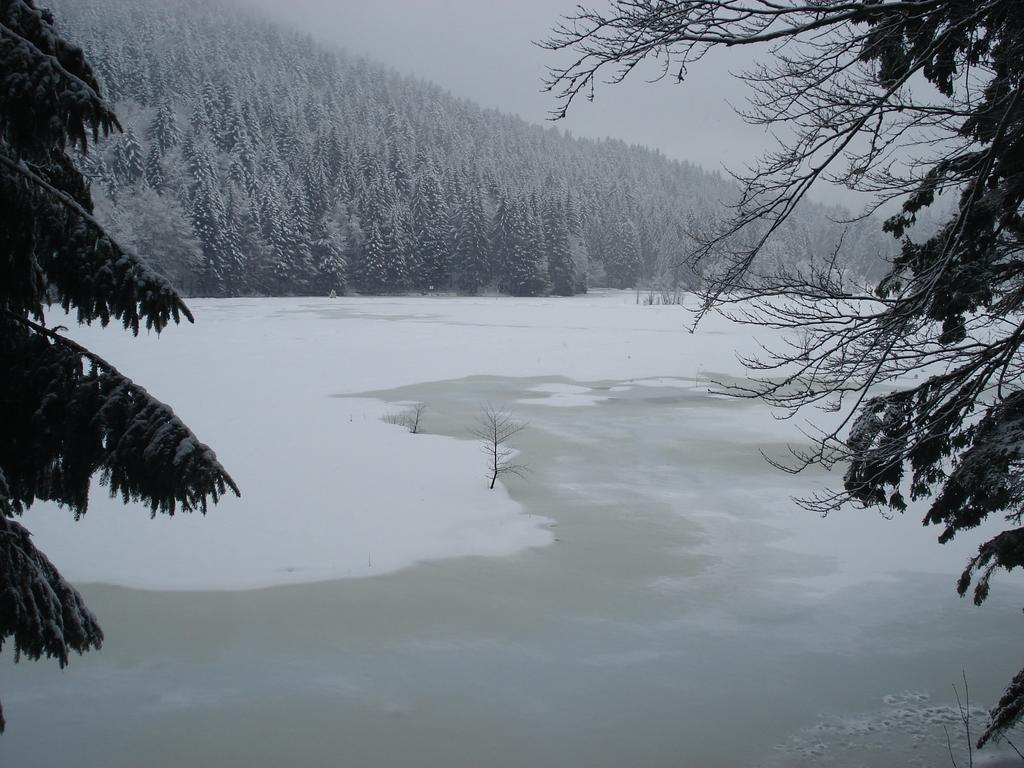 Domaine Des Hauts Viaux La Bresse Zewnętrze zdjęcie