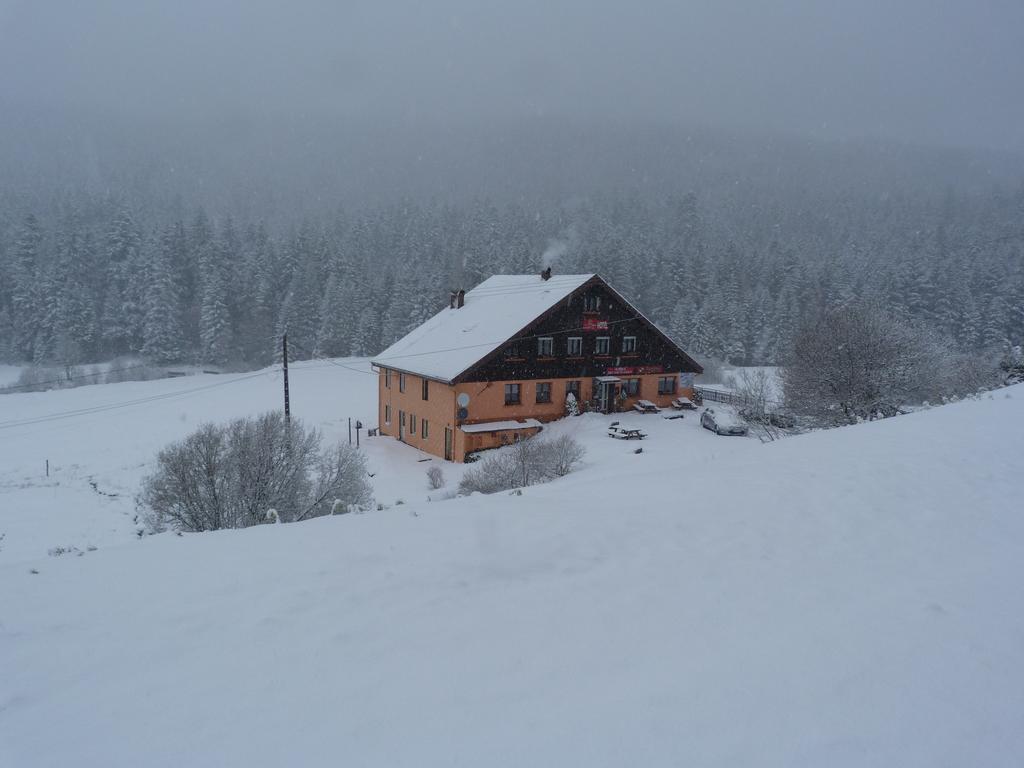Domaine Des Hauts Viaux La Bresse Zewnętrze zdjęcie