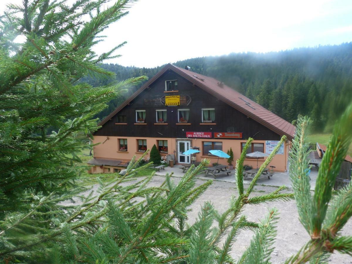 Domaine Des Hauts Viaux La Bresse Zewnętrze zdjęcie