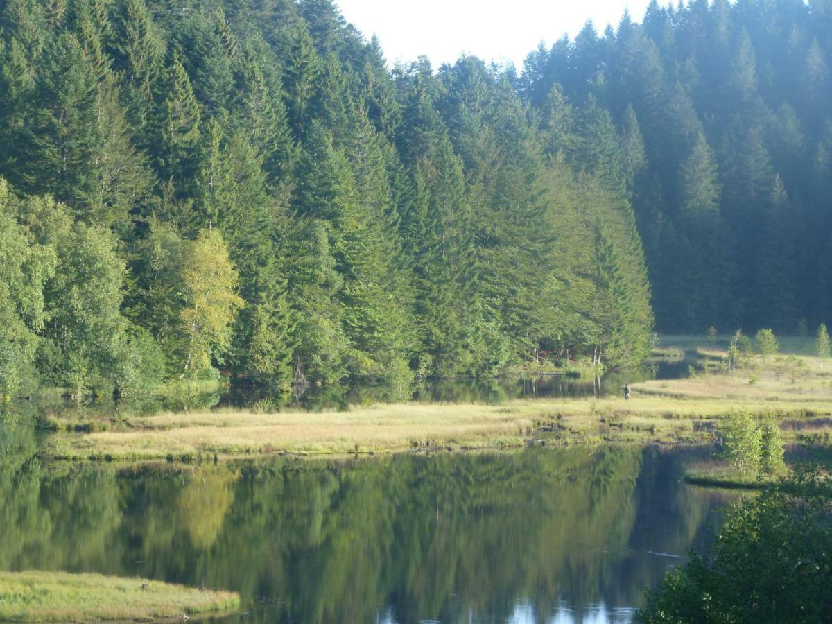 Domaine Des Hauts Viaux La Bresse Zewnętrze zdjęcie