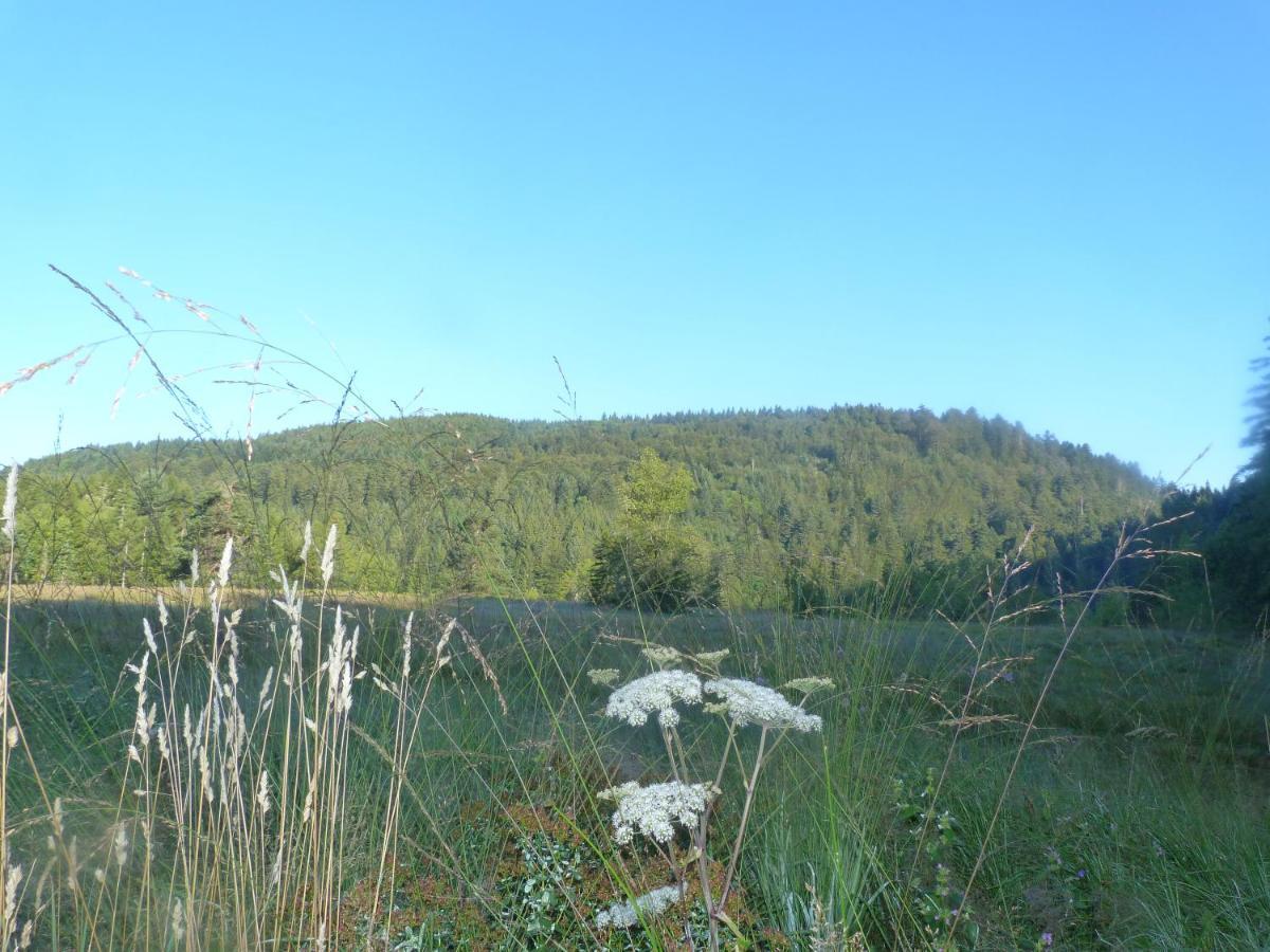 Domaine Des Hauts Viaux La Bresse Zewnętrze zdjęcie