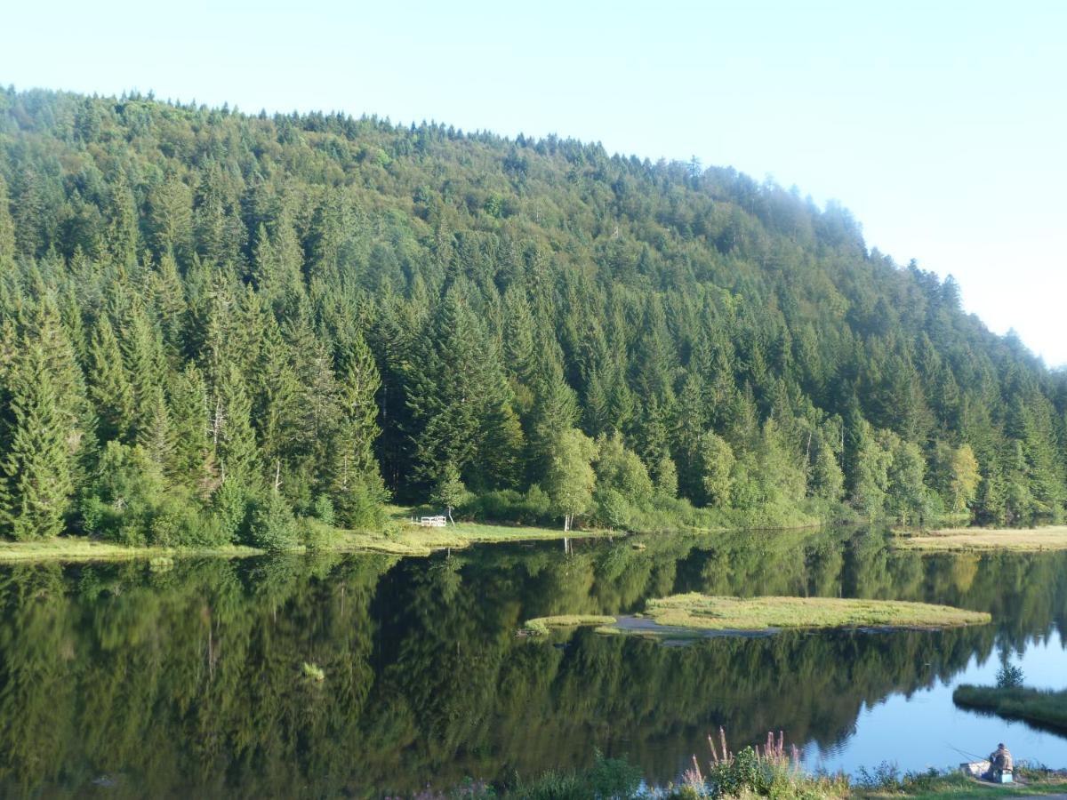 Domaine Des Hauts Viaux La Bresse Zewnętrze zdjęcie